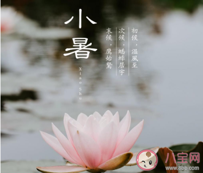 2020今日小暑圖片朋友圈文案 2020今日小暑圖片說說