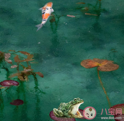 2020今日小暑圖片朋友圈文案 2020今日小暑圖片說說