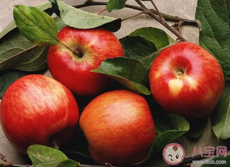 夏天孕婦最適合吃什么水果 準媽媽適宜吃的水果推薦