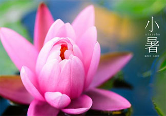 2020小暑節(jié)氣順口溜農(nóng)諺有哪些 2020小暑節(jié)氣諺語順口溜大全