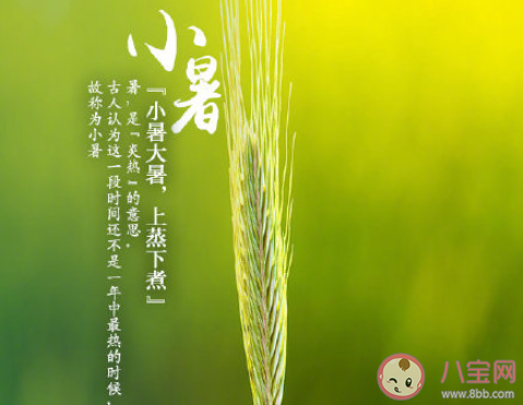 最新2020小暑節氣早安的說說文案 2020小暑節氣早安心語大全