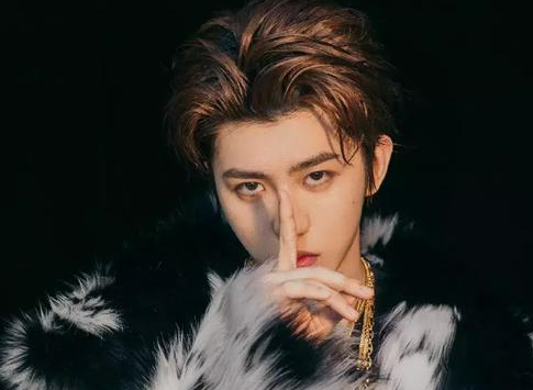 蔡徐坤偷襲珍珠港是什么意思 蔡徐坤偷襲珍珠港梗的出處是什么