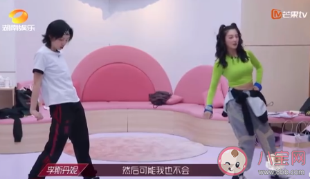 綺趣蛋是什么意思 綺趣蛋什么梗