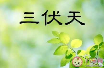 2020年三伏天有40天是真的嗎 三伏天開始和結(jié)束時間