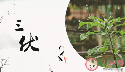 2020三伏天的食療方法 三伏天吃什么食物養生