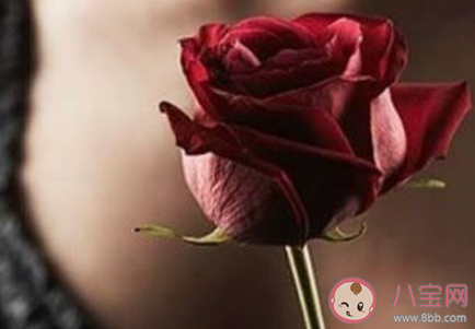 難過反射弧是什么梗 難過反射弧梗的出處是什么