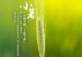最新2020小暑節氣早安的說說文案 2020小暑節氣早安心語大全