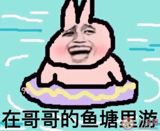 哥哥進魚塘嗎是什么梗 哥哥進魚塘嗎梗的出處是什么