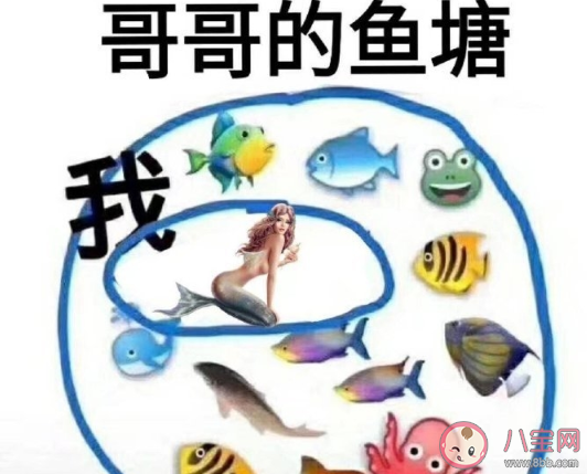 哥哥進魚塘嗎是什么梗 哥哥進魚塘嗎梗的出處是什么