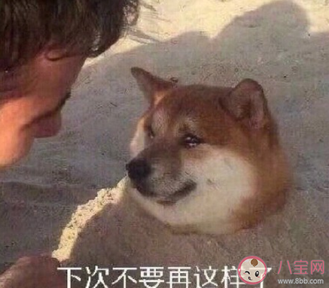 江蘇高考同聲相應(yīng)同氣相求是什么意思 同聲相應(yīng)同氣相求的出處是什么 江蘇高考同聲相應(yīng)同氣相求是什么意思 同聲相應(yīng)同氣相求的出處是什么