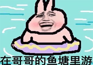 哥哥進魚塘嗎是什么梗 哥哥進魚塘嗎梗的出處是什么