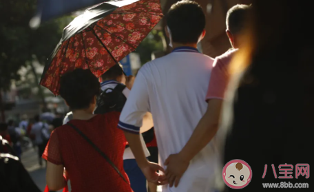 2020高考金字塔答案是什么 高考數學金字塔答案解析