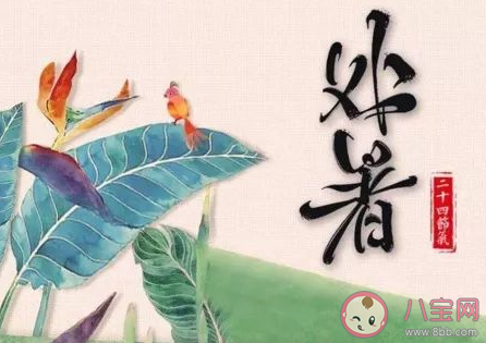 處暑節氣代表著什么含義什么講究 處暑節氣有什么寓意 處暑節氣代表著什么含義什么講究 處暑節氣有什么寓意