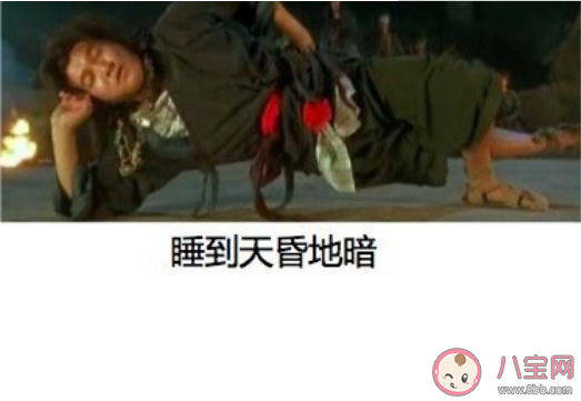 高考后的四大行為軌跡是什么 高考后最想做什么事情