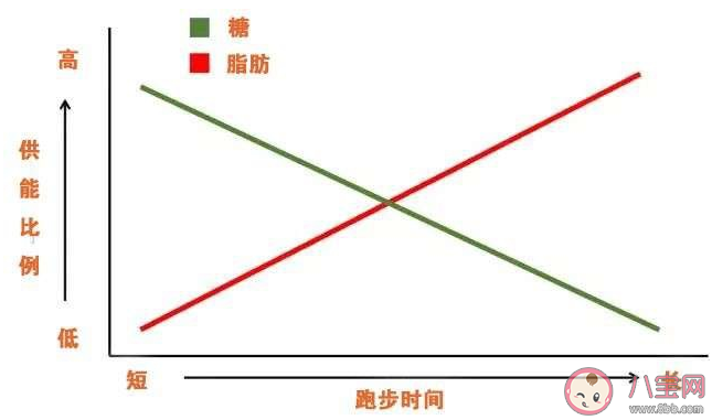 晚上跑步真的能瘦身減肥嗎 晚上跑步注意要點(diǎn)