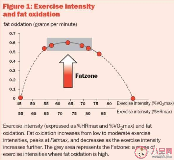晚上跑步真的能瘦身減肥嗎 晚上跑步注意要點(diǎn)