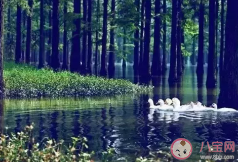 2020夏天湖北去哪里避暑好 湖北夏天旅游景點推薦