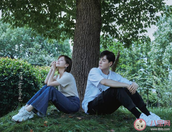 《親愛的摯愛的》是根據什么小說改編的 親愛的摯愛的原著小說是什么