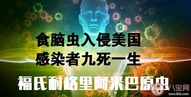 食腦蟲是什么 食腦蟲生長在什么地方