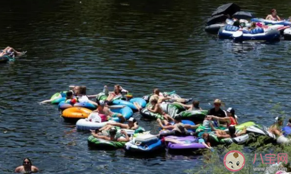 食腦蟲在中國分布在哪些地方 食腦蟲鉆進鼻子的癥狀有哪些