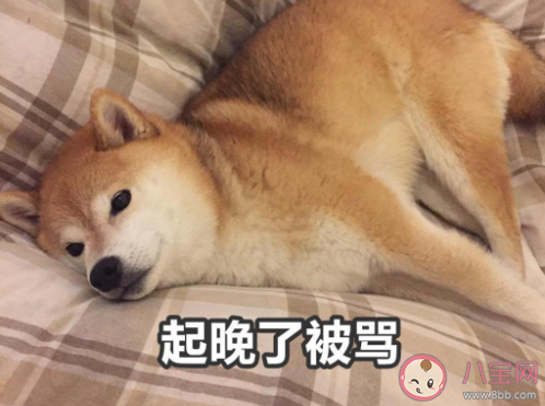 暑假在家被媽媽嫌棄的搞笑說說帶圖 放暑假了被媽媽嫌棄的朋友圈圖片說說 暑假在家被媽媽嫌棄的搞笑說說帶圖 放暑假了被媽媽嫌棄的朋友圈圖片說說