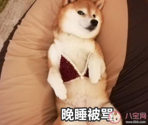 暑假在家被媽媽嫌棄的搞笑說說帶圖 放暑假了被媽媽嫌棄的朋友圈圖片說說 暑假在家被媽媽嫌棄的搞笑說說帶圖 放暑假了被媽媽嫌棄的朋友圈圖片說說