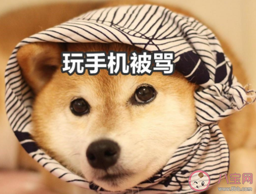 暑假在家被媽媽嫌棄的搞笑說說帶圖 放暑假了被媽媽嫌棄的朋友圈圖片說說 暑假在家被媽媽嫌棄的搞笑說說帶圖 放暑假了被媽媽嫌棄的朋友圈圖片說說