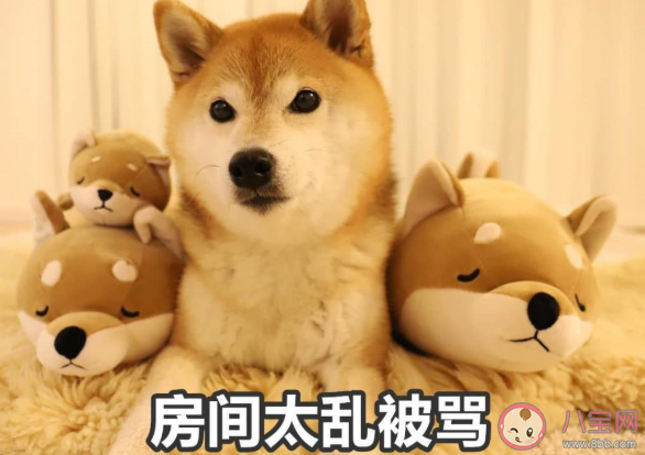 暑假在家被媽媽嫌棄的搞笑說說帶圖 放暑假了被媽媽嫌棄的朋友圈圖片說說 暑假在家被媽媽嫌棄的搞笑說說帶圖 放暑假了被媽媽嫌棄的朋友圈圖片說說