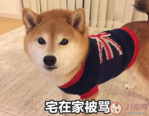 暑假在家被媽媽嫌棄的搞笑說說帶圖 放暑假了被媽媽嫌棄的朋友圈圖片說說 暑假在家被媽媽嫌棄的搞笑說說帶圖 放暑假了被媽媽嫌棄的朋友圈圖片說說