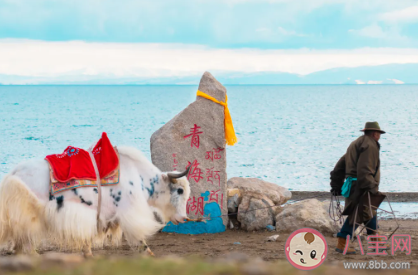 2020夏天去哪里旅游涼快 夏天最值得去的地方盤點