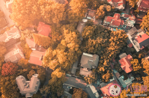 2020下半年去哪里旅游合適 國內適合旅游的景點