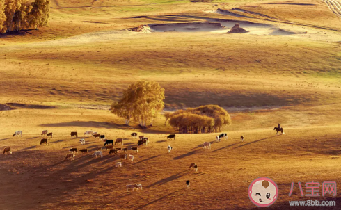 2020下半年去哪里旅游合適 國內適合旅游的景點