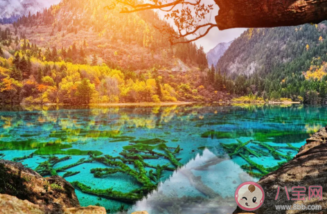 2020下半年去哪里旅游合適 國內適合旅游的景點