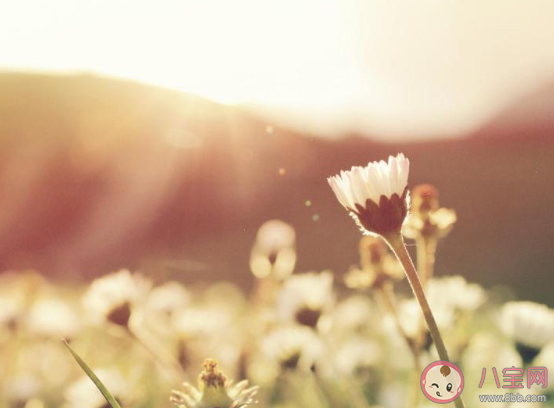 高考沒考好很失落的朋友圈怎么發 高考沒考好失落難過的朋友圈說說