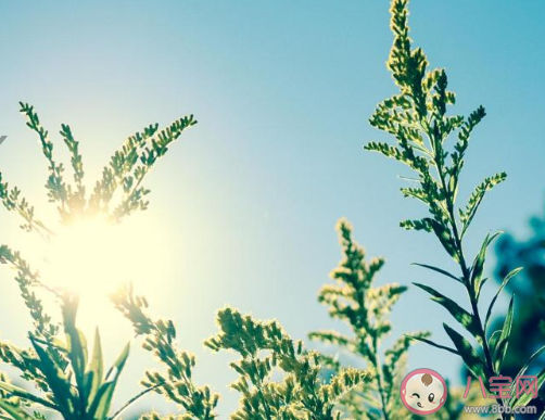 高考沒考好很失落的朋友圈怎么發 高考沒考好失落難過的朋友圈說說