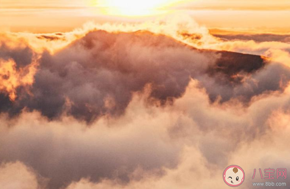 2020高考沒考好安慰鼓勵的暖心文案說說 2020給高考失利的人的安慰語句子