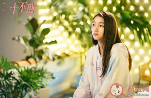 二十不惑是根據小說改編的嗎 二十不惑講述了什么故事