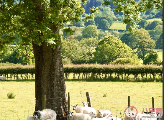 夏天過去了說說心情短語 夏天要結束了發朋友圈說說
