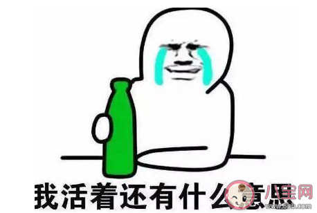 但花不至是什么意思什么梗 但花不至梗的來源出處是什么 但花不至是什么意思什么梗 但花不至梗的來源出處是什么