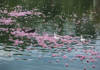 2020七月再見(jiàn)八月你好說(shuō)說(shuō)句子大全 六七月再見(jiàn)八月你好唯美語(yǔ)錄