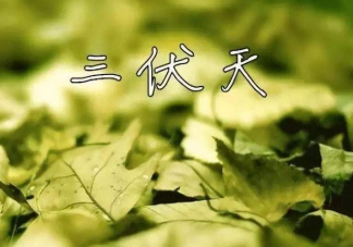 2020三伏天如何養(yǎng)生 三伏天養(yǎng)生注意事項(xiàng)