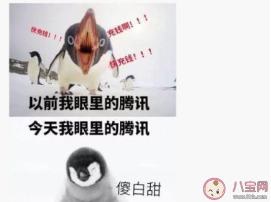 騰訊qq法院是什么意思 騰訊qq法院梗的出處是什么