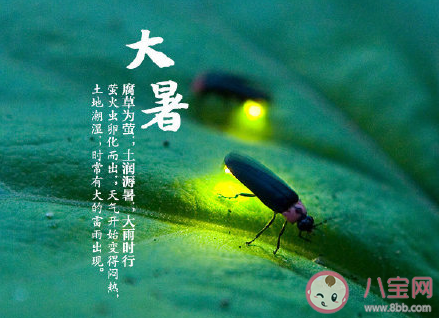 2020大暑節(jié)氣圖片朋友圈配文句子 2020大暑節(jié)氣的朋友圈圖片說說 2020大暑節(jié)氣圖片朋友圈配文句子 2020大暑節(jié)氣的朋友圈圖片說說