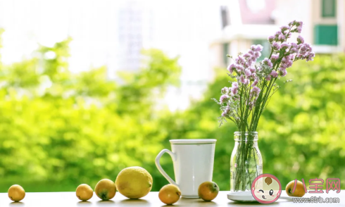 寶寶健脾祛濕吃什么食物好 夏季健脾祛濕食譜推薦