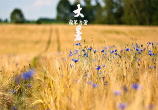 2020今日大暑節氣朋友圈一句話說說 2020今日大暑發朋友圈的心情文案句子