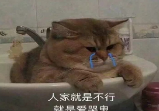 關于夏天停水停電發朋友圈說說 大熱天停水要瘋的圖片感言