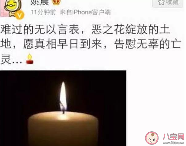 姚晨惡之花是什么意思什么梗 姚晨為什么被叫惡之花 姚晨惡之花是什么意思什么梗 姚晨為什么被叫惡之花