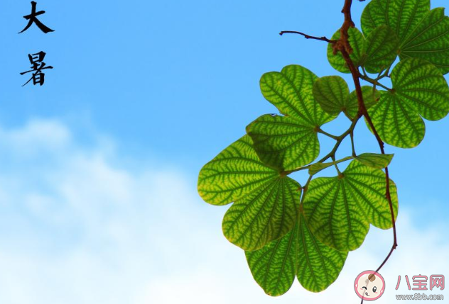 2020大暑早安心語圖片問候語句子 2020大暑節氣早安的說說祝福語 2020大暑早安心語圖片問候語句子 2020大暑節氣早安的說說祝福語