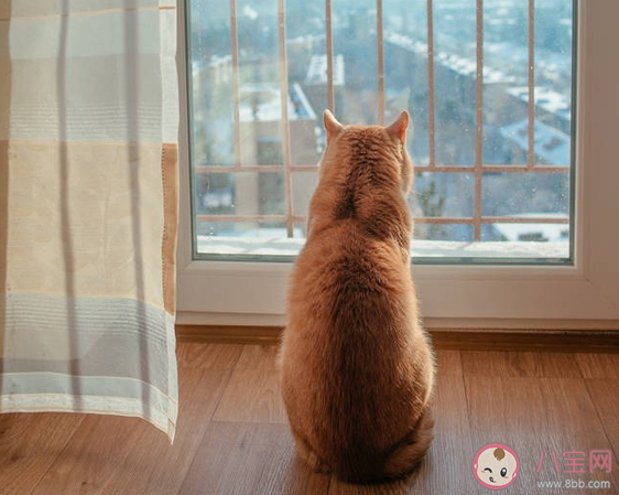 天空很藍經典簡短說說 贊美天藍心情好的句子