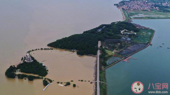 2020夏季的雨為什么這么多 雨水特別多的原因